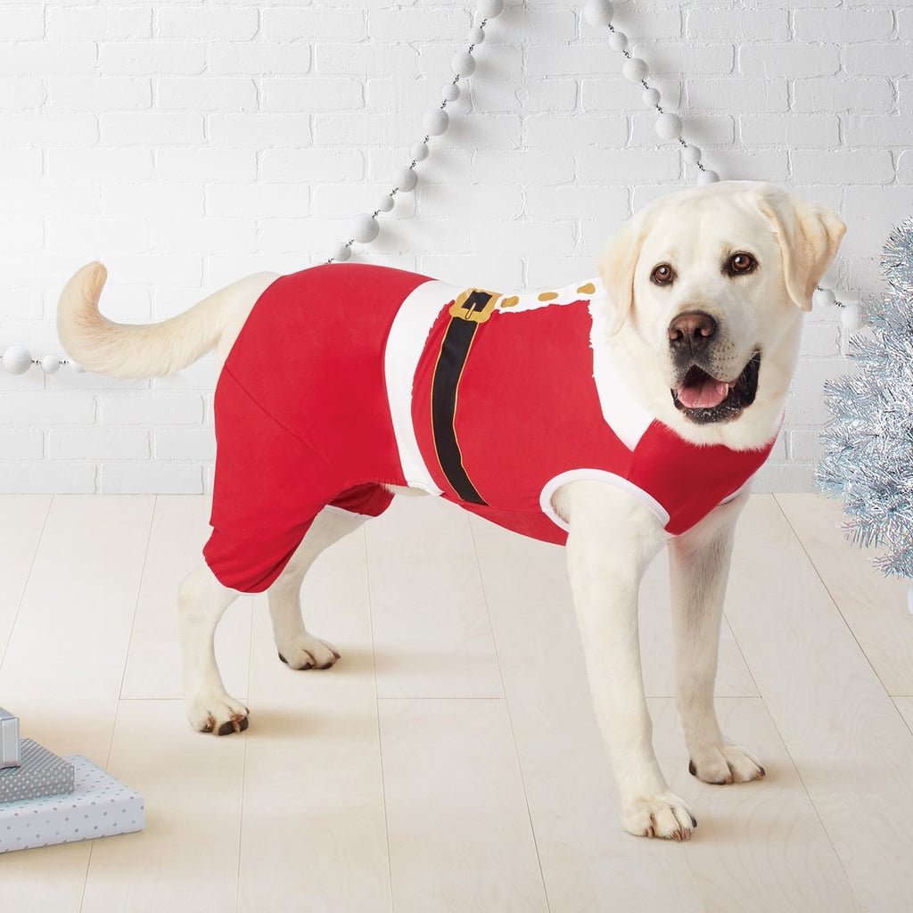 Target Pet Holiday Santa Pajamas