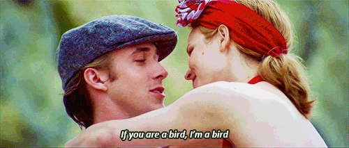 When She's a Bird and He's a Bird