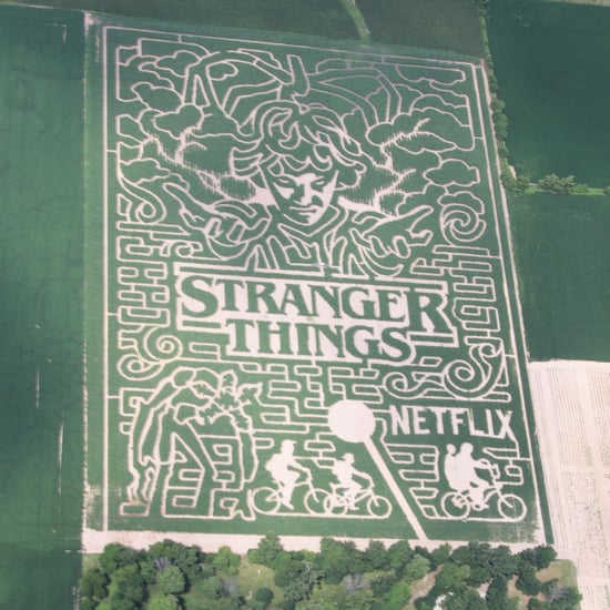 Stranger Things Maze in Indiana 2018
