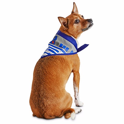 star wars dog harness