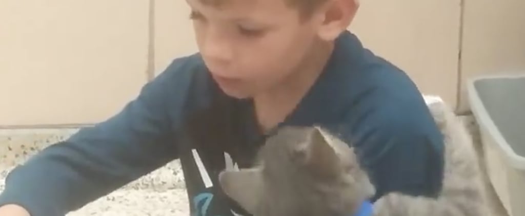 Little Boy Reading to Shelter Cat | Video
