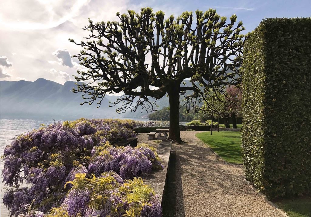 Is House of Gucci's Villa Balbiano Real? Rent It on Airbnb