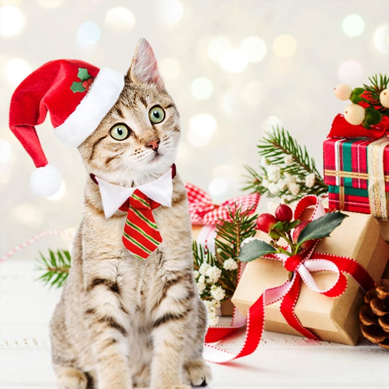 Holiday Pet Costumes on Amazon | POPSUGAR Pets