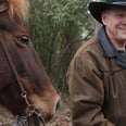 Roy Moore's Horse Inspired the Parody Twitter Account We Never Knew We Needed
