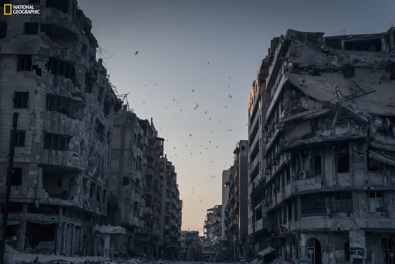 Honorable Mention, Places: Destroyed Homs
