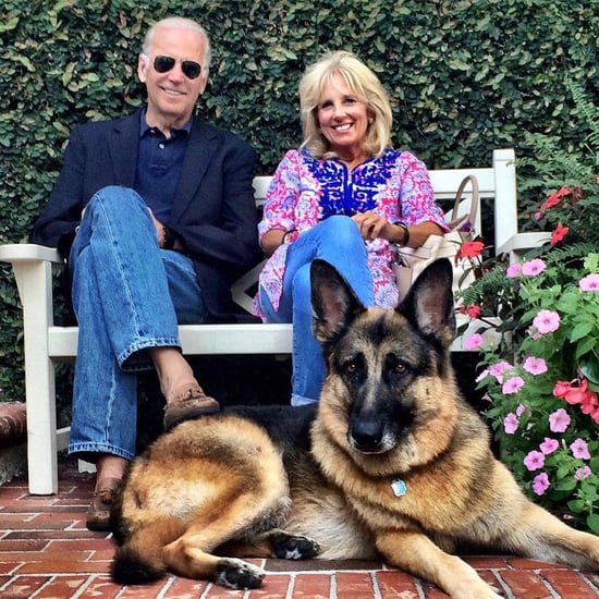 Are Jill and Joe Biden Getting a Cat For the White House?