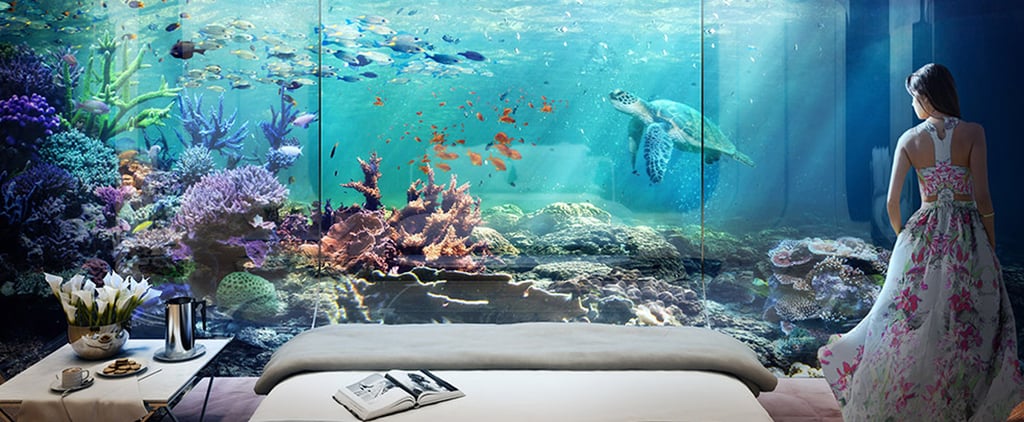 Live Underwater in The Floating Seahorse Luxury Houseboats