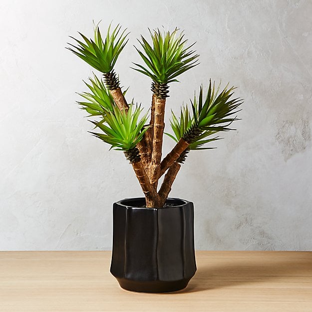 Get the Look: Faux Potted Agave