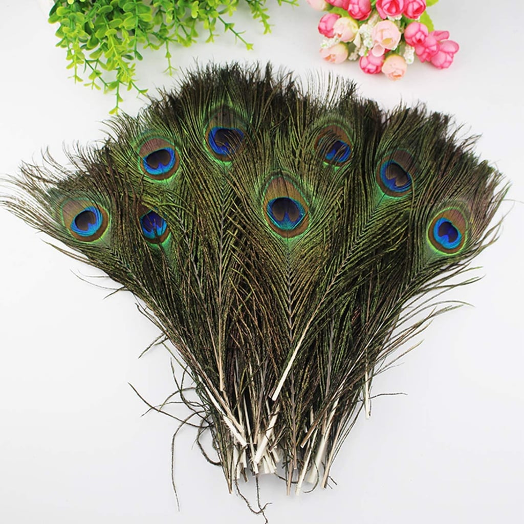 TinaWood 10PCS Real Natural Peacock Eye Feathers