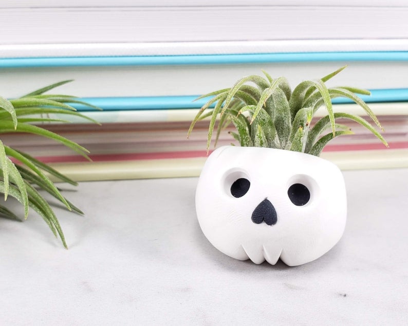 Skull Air Plant Holder