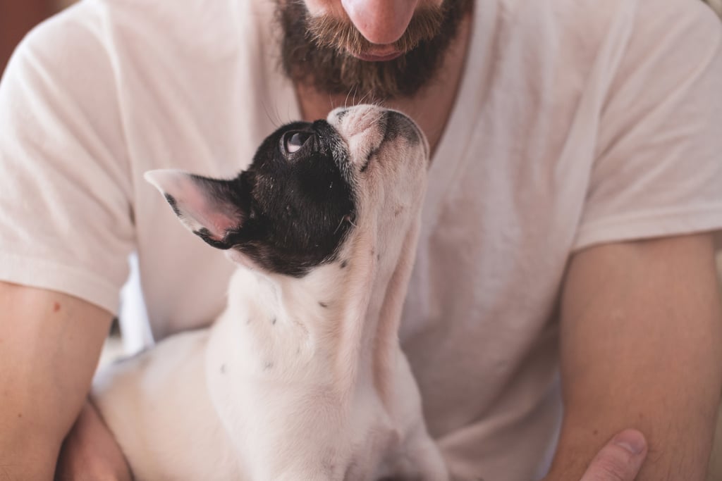 Snuggling with your pet.