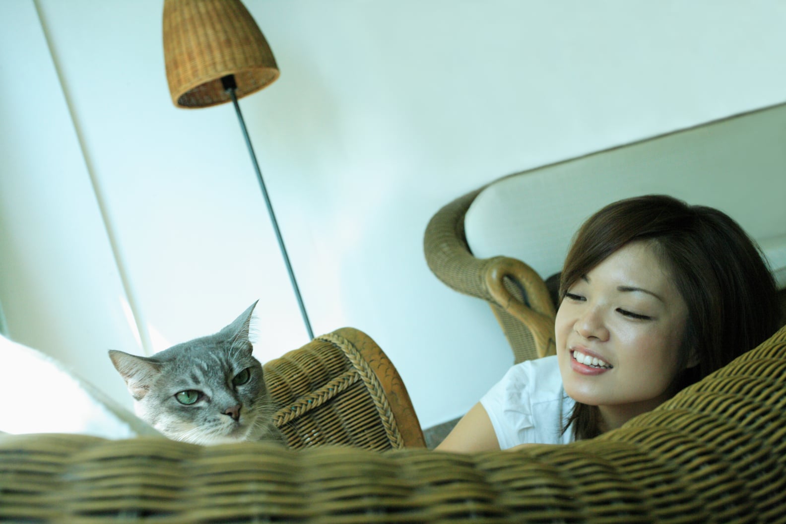 Why Won't My Cat Cuddle With Me? POPSUGAR Pets