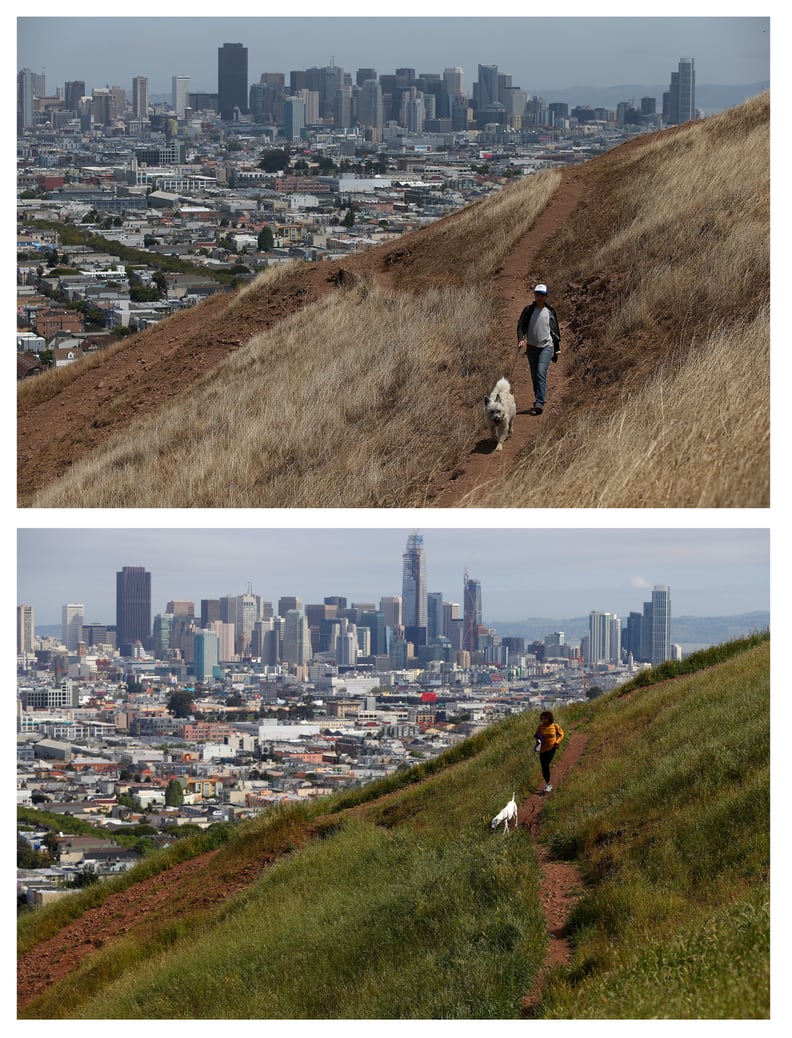 A hillside in the Bernal Heights neighborhood of San Francisco, CA.