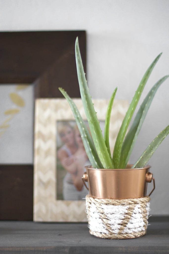 Copper and Rope Planter