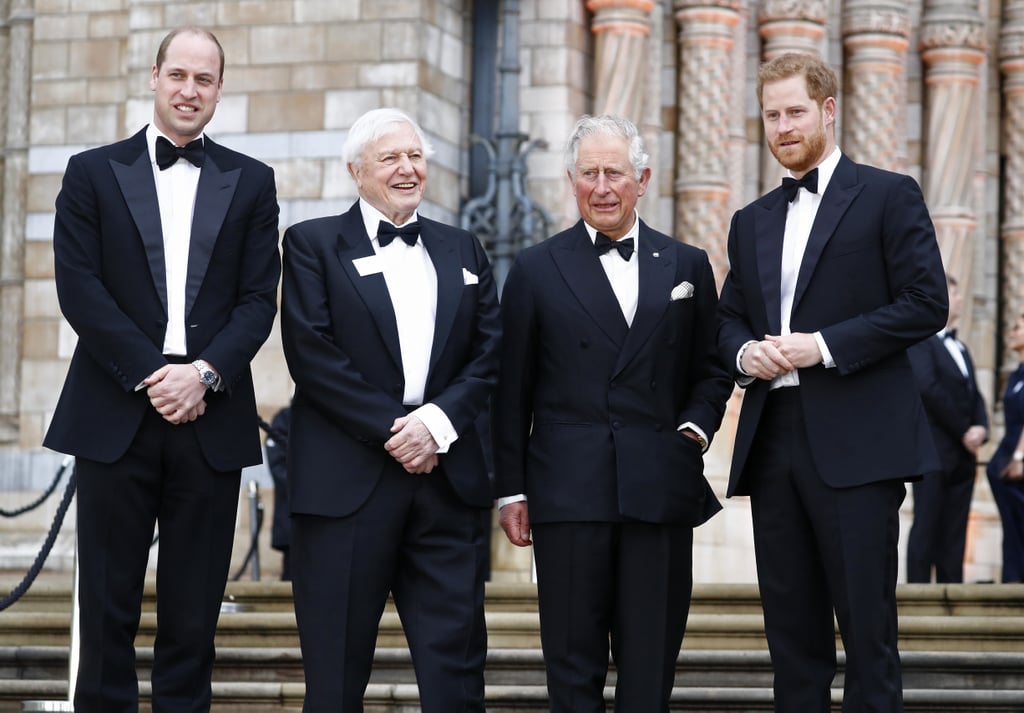 Harry, William, and Charles at Our Planet Premiere 2019