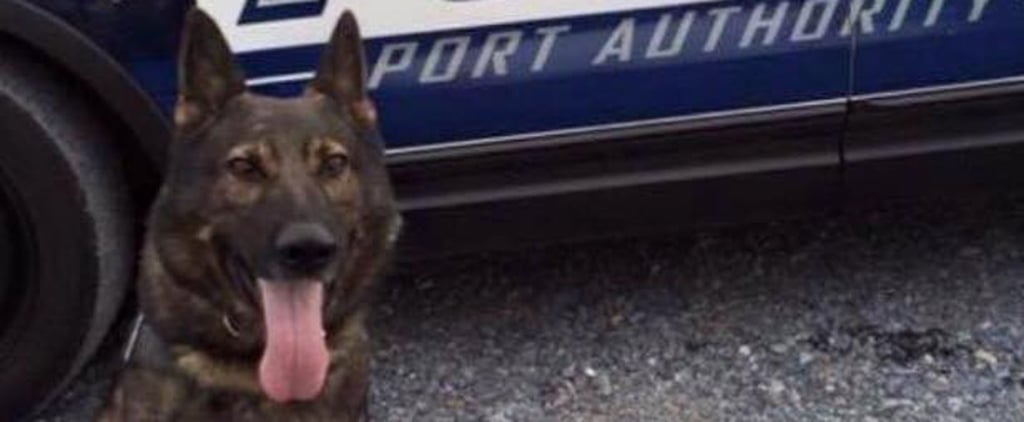 Funeral For Pittsburgh Police Dog