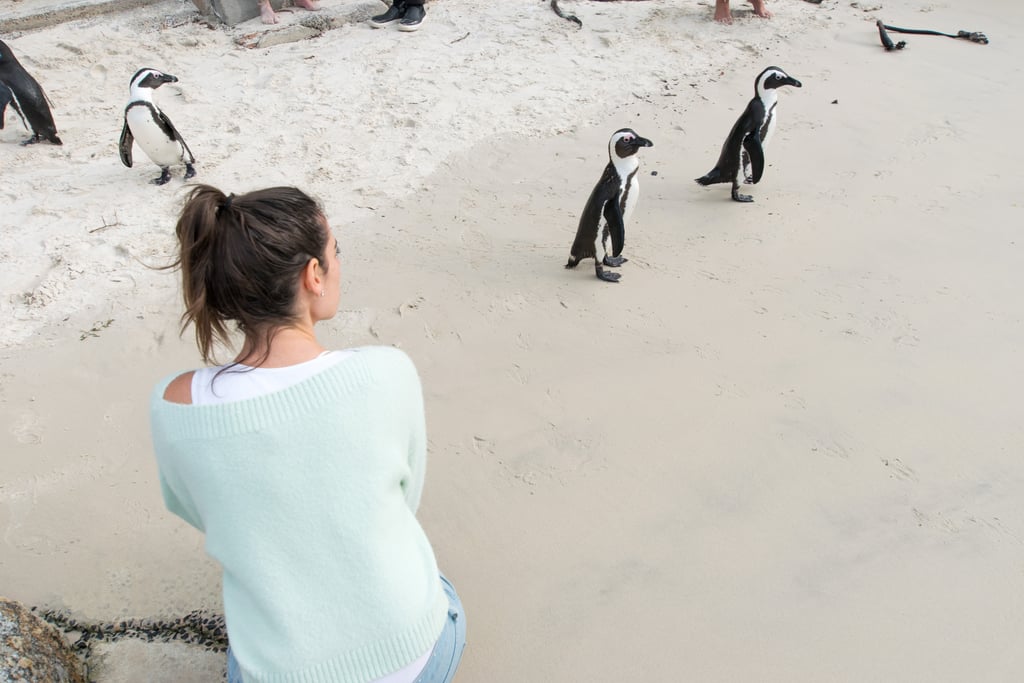 Penguins!