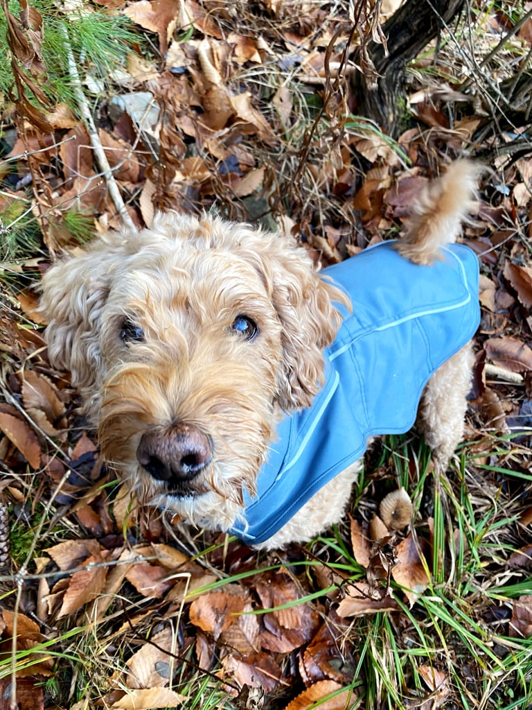 Ruffwear Overcoat