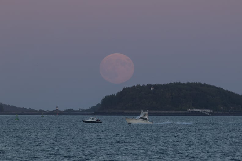 The Boston Harbor was illuminated by the super blood moon.