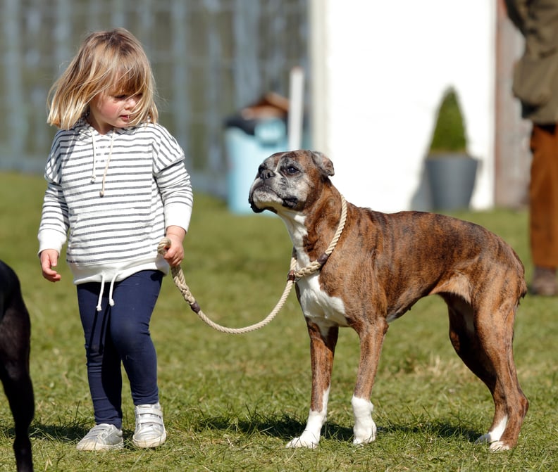 Mia Tindall With Zara Phillips's Boxer, Spey