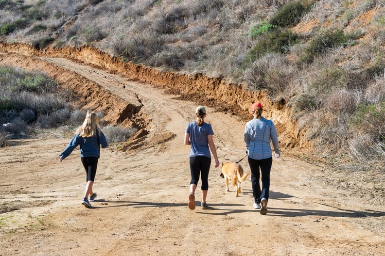A mother and her daughters hike and run on a dirt trail in a Southern California mountain forest on a clear winter day with their family dog