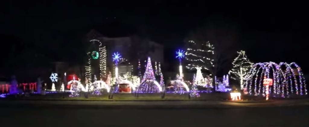 Baby Shark Christmas Lights Display
