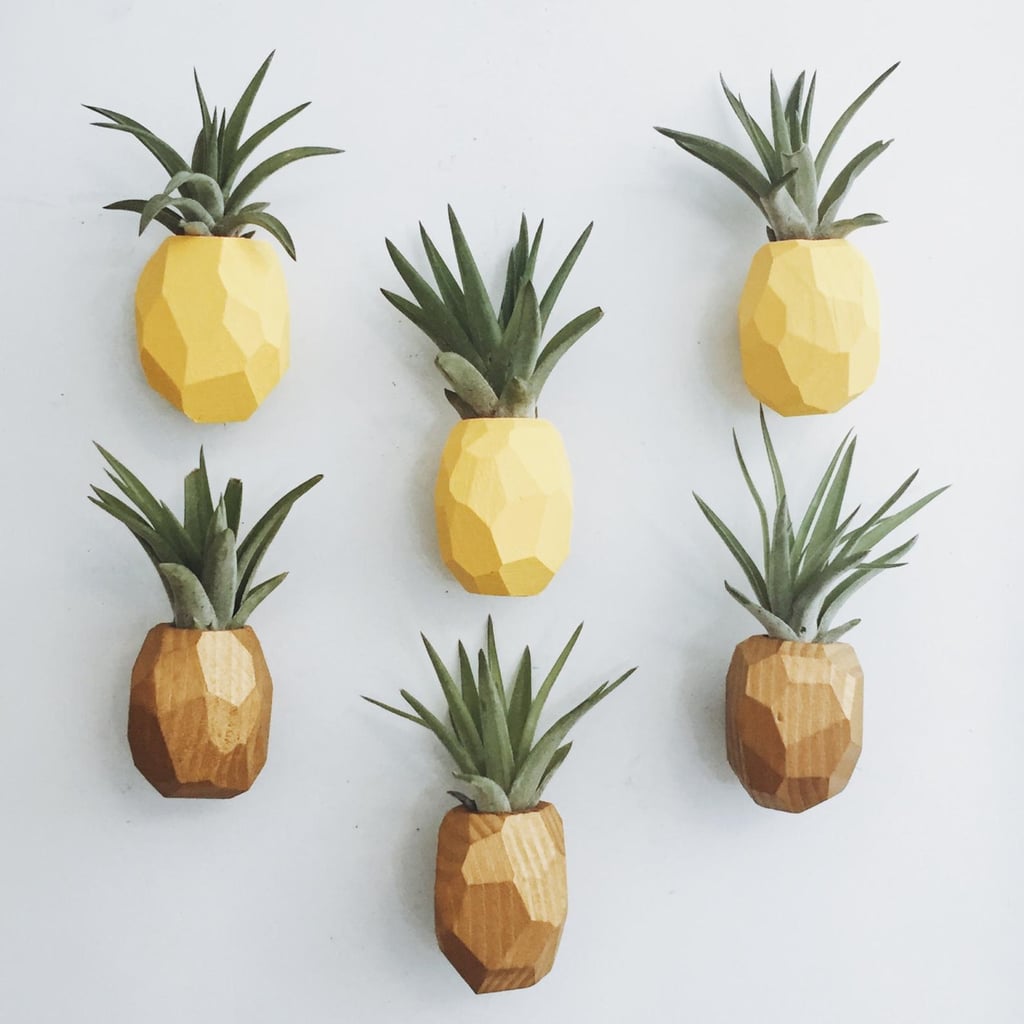 Pineapple Air Plant Magnets With Air Plant