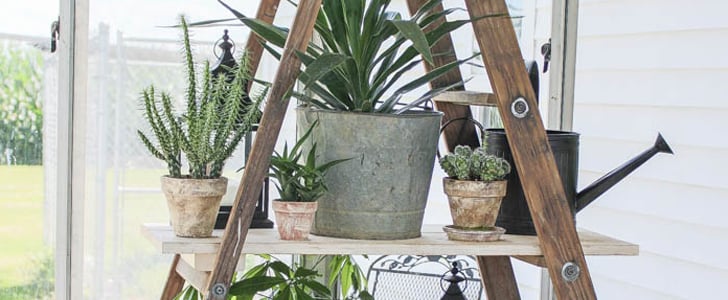 Places in the Home Mosquitoes Breed