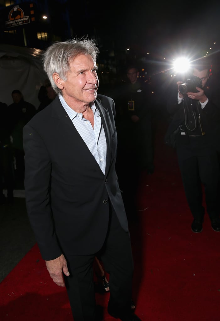 Pictured: Harrison Ford