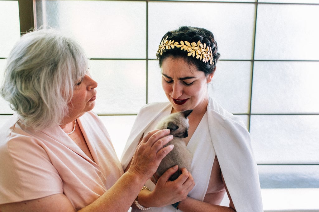 Couple Has Kitten Hour at Their Wedding POPSUGAR Family