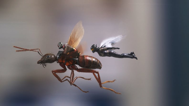 ANT-MAN AND THE WASP, from left, Paul Rudd as Ant-Man, Evangeline Lilly as The Wasp, 2018. Marvel/Walt Disney Studios Motion Pictures/courtesy Everett Collection