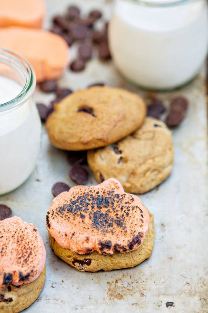 Pumpkin Chocolate Chip Cookie S'mores