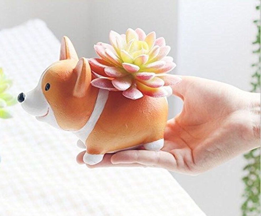 Cool Cheap Gifts From Amazon POPSUGAR Smart Living UK