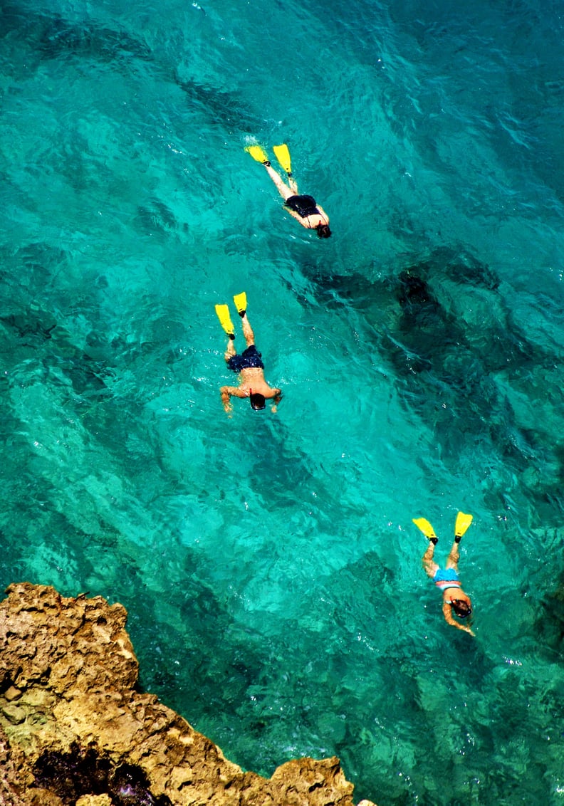 The snorkeling is amazing.