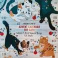 Count Down to Christmas With Your Cat Using One of These Treat-Filled Advent Calendars
