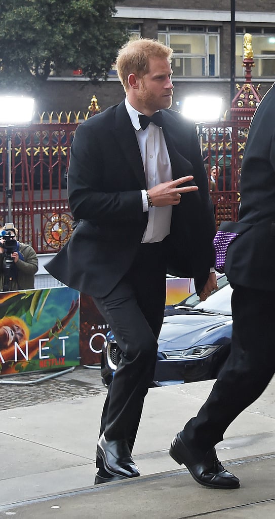 Harry, William, and Charles at Our Planet Premiere 2019