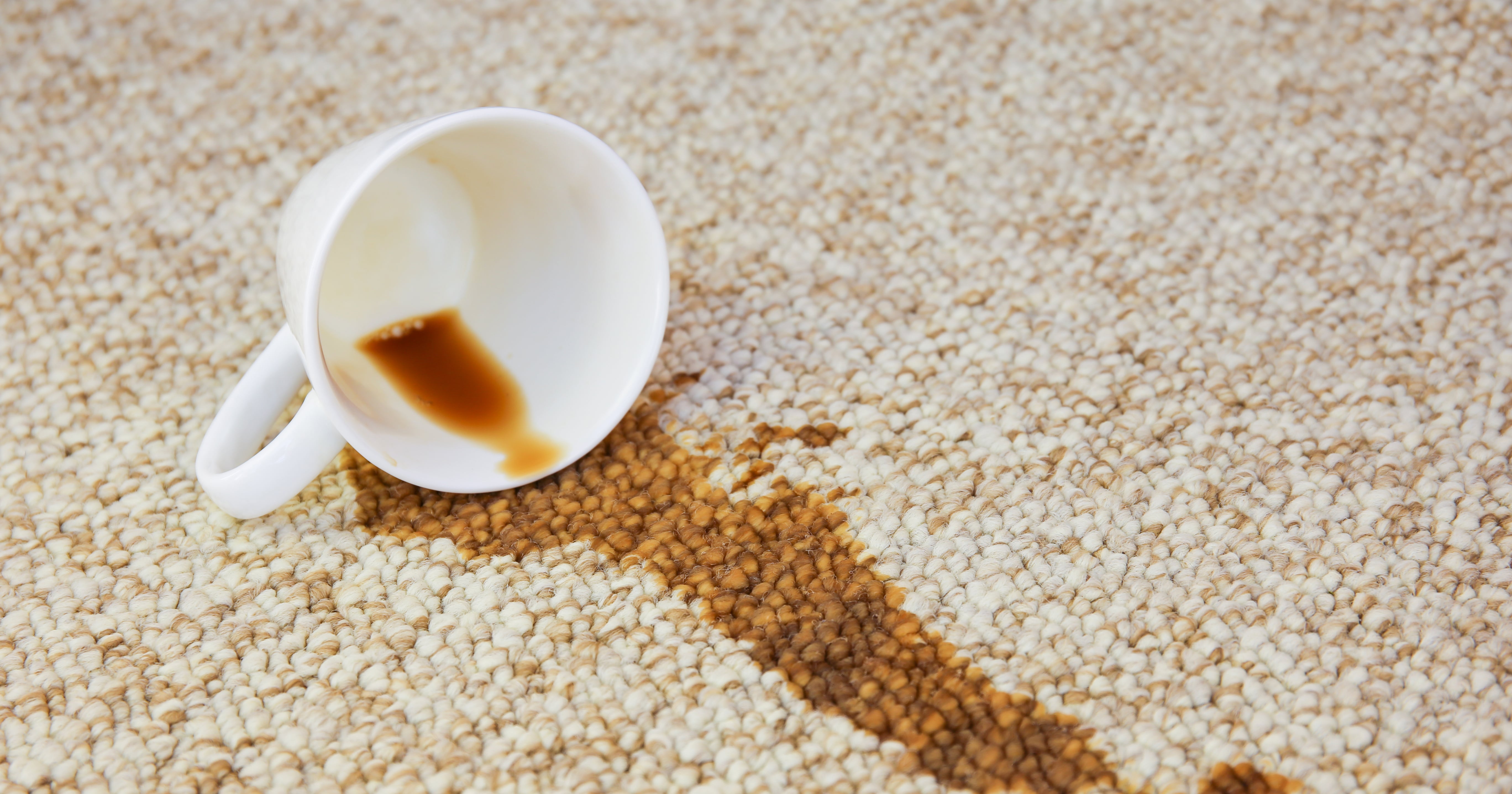 Homemade Carpet Cleaner | POPSUGAR Smart Living