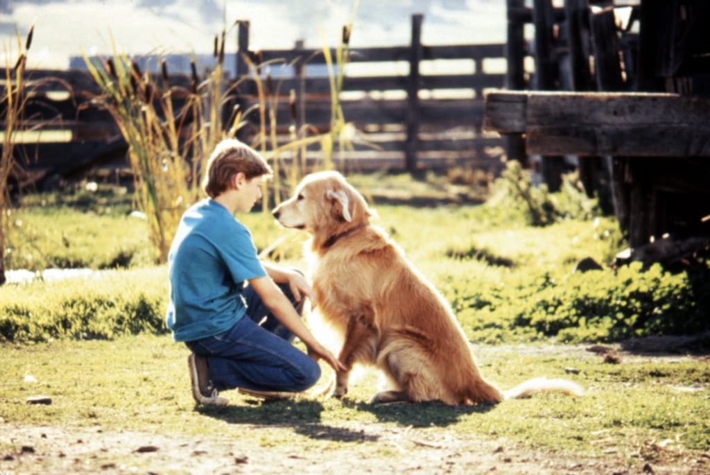 Saddest Dog Movies Popsugar Entertainment