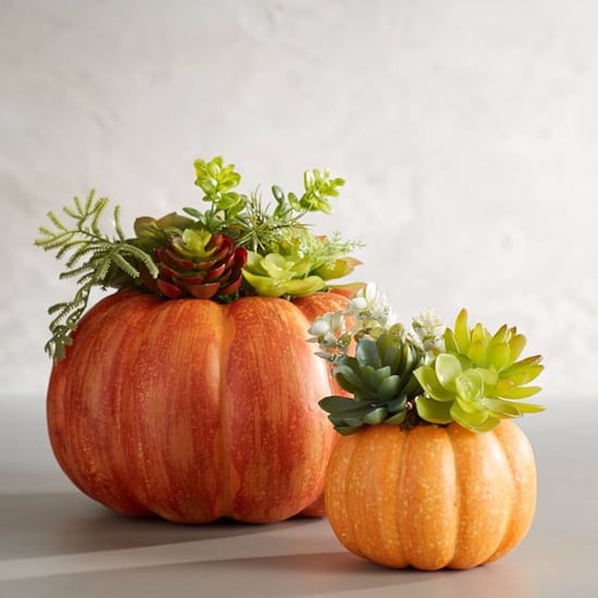 Best Fall Decor