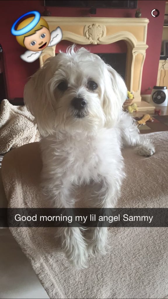 She's Not Above Taking Snaps of Her Dog
