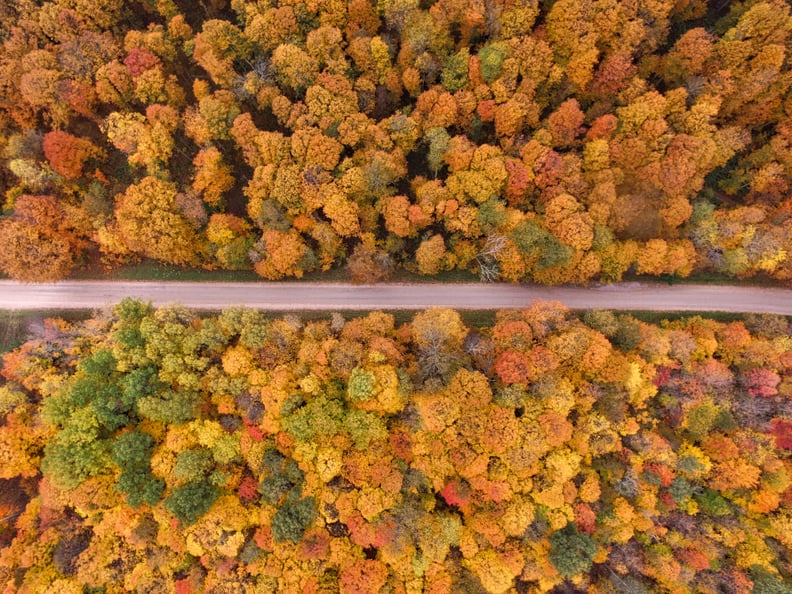 Go on a foliage road trip.