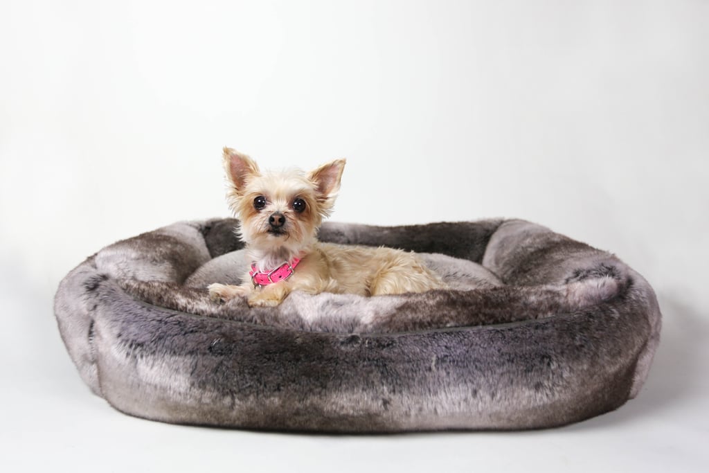 Restoration Hardware Luxe Faux Fur Pet Bed ($99 and up)
Ella Bean: “I have one in every room. Four paws up.”