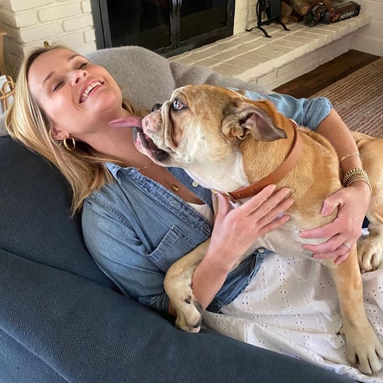 How Many Dogs Does Reese Witherspoon Have?