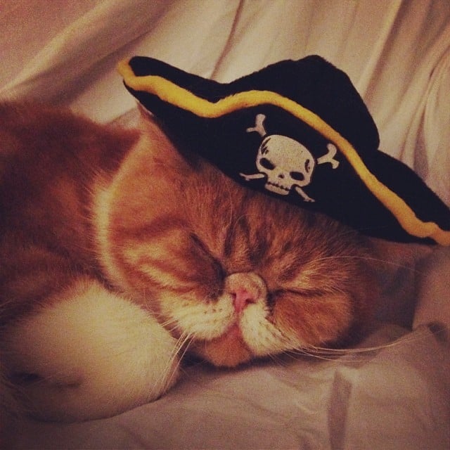 Real treasure lies in sleep