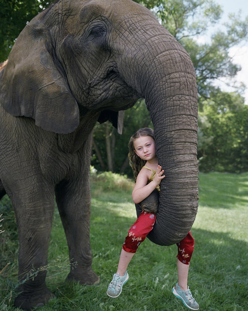 Robin Schwartz, Shiba Up, 2006, from Amelia and the Animals (Aperture, 2014)
