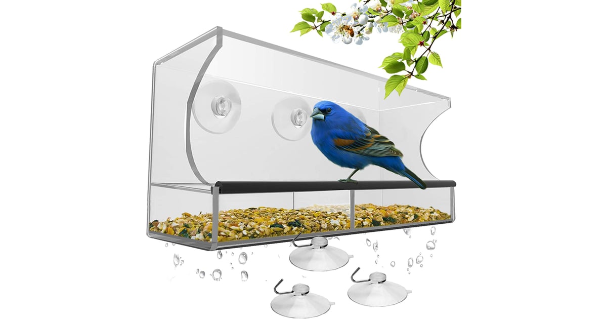 Window Bird Feeder With Strong Suction Cups And Seed Tray Black