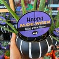 Trader Joe's Is Selling "Happy Aloe-Ween" Plants, and Shoppers Are Freaking Out Over Them
