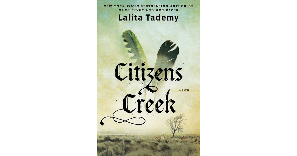 citizens creek by lalita tademy