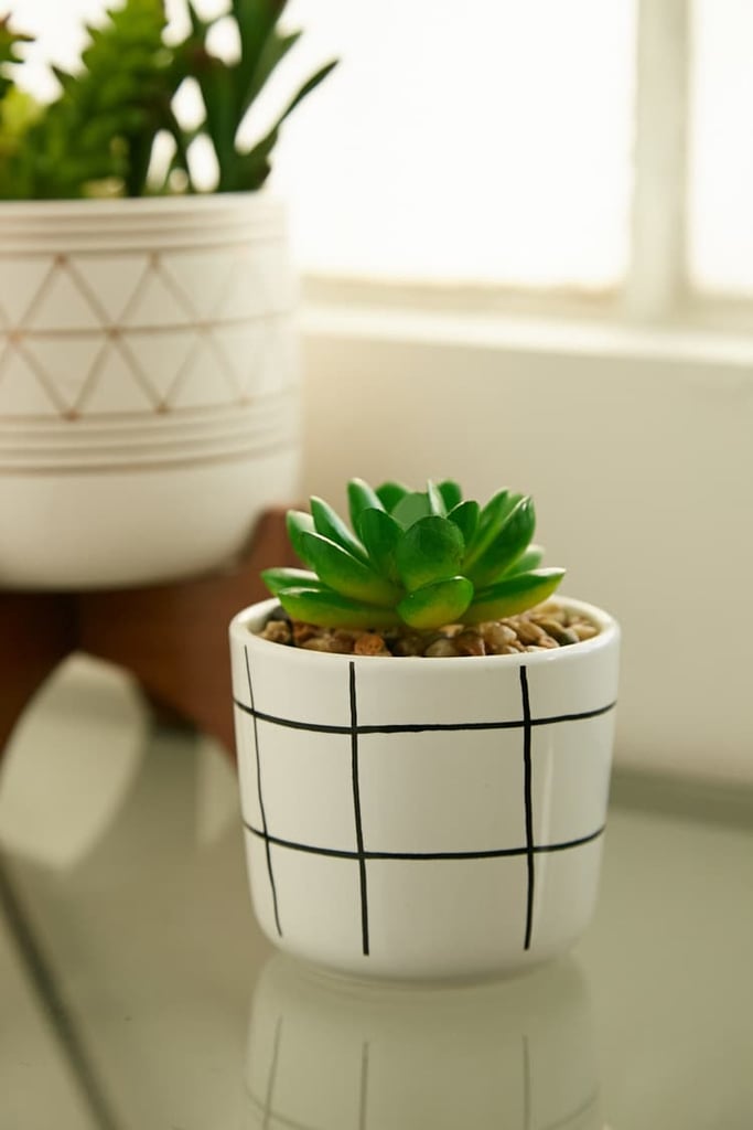 Potted Faux Succulent