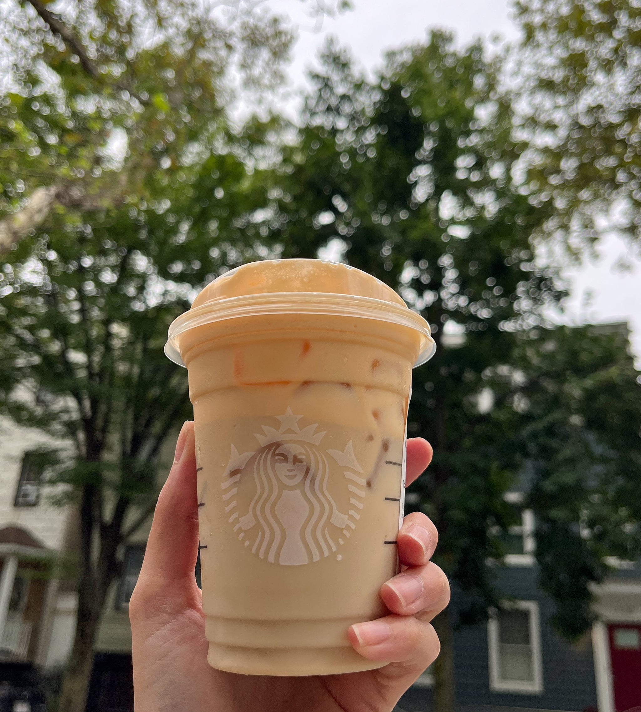 Starbucks's new Iced Pumpkin Cream Chai Tea Latte drink.
